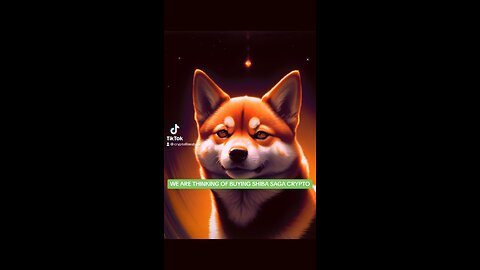 WE ARE THINKING OF BUYING SHIBA SAGA CRYPTO