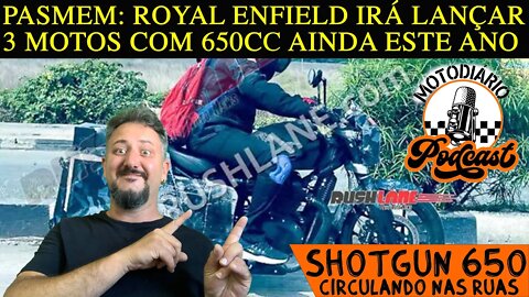 3 novas Royal Enfield CUSTOM 650 serão lançadas este ANO. Nova SG 650 é vista circulando nas RUAS.