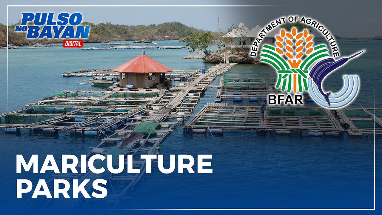 Mariculture parks, palalawakin ng BFAR bilang tugon sa epekto ng El Niño