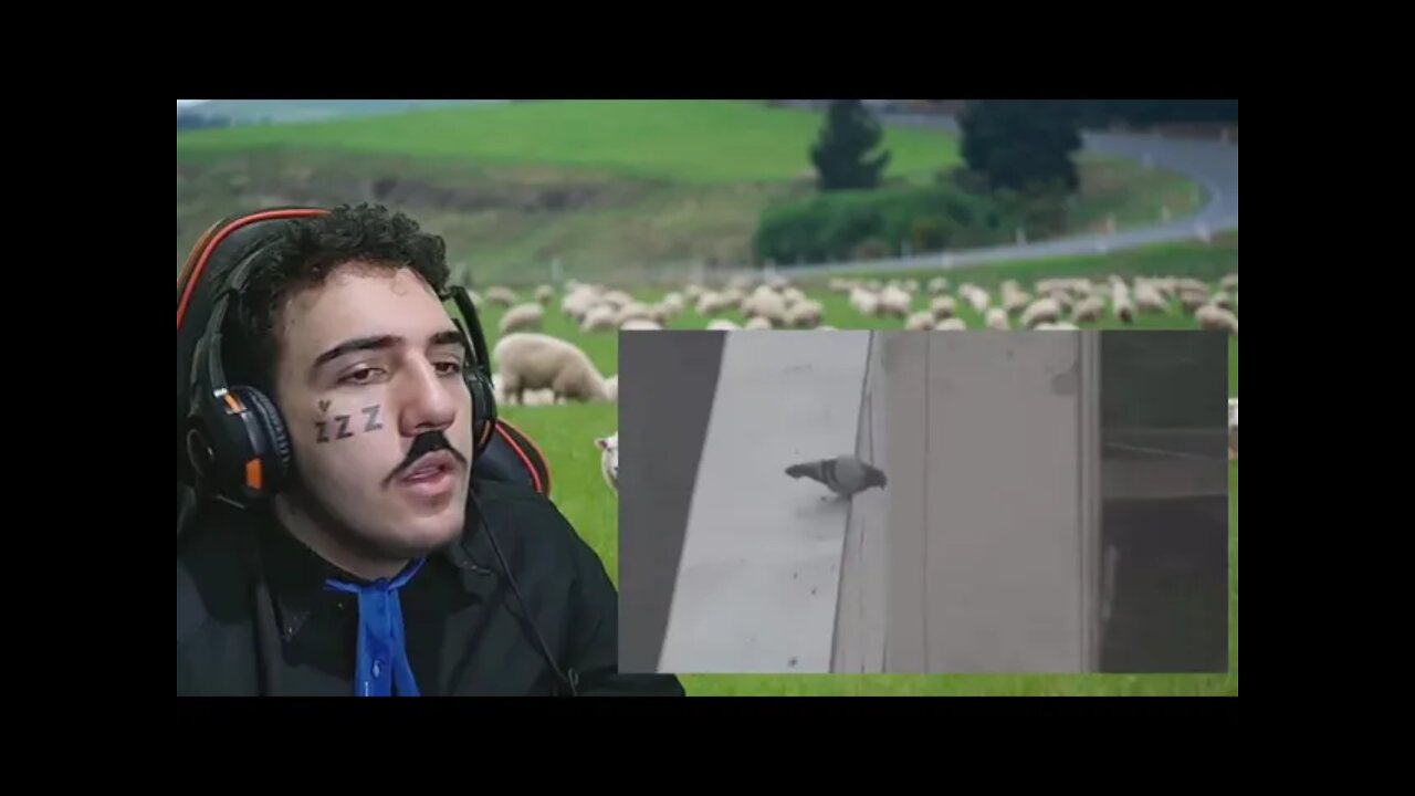 PAI DO ANO