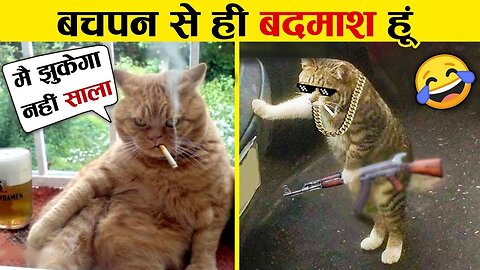 इन जानवरों से पंगा ना बाबा ना 😁🤣.... Funny Animals Video