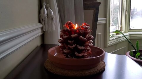 Pine Cone Candle 21 Hour Hyperlapse