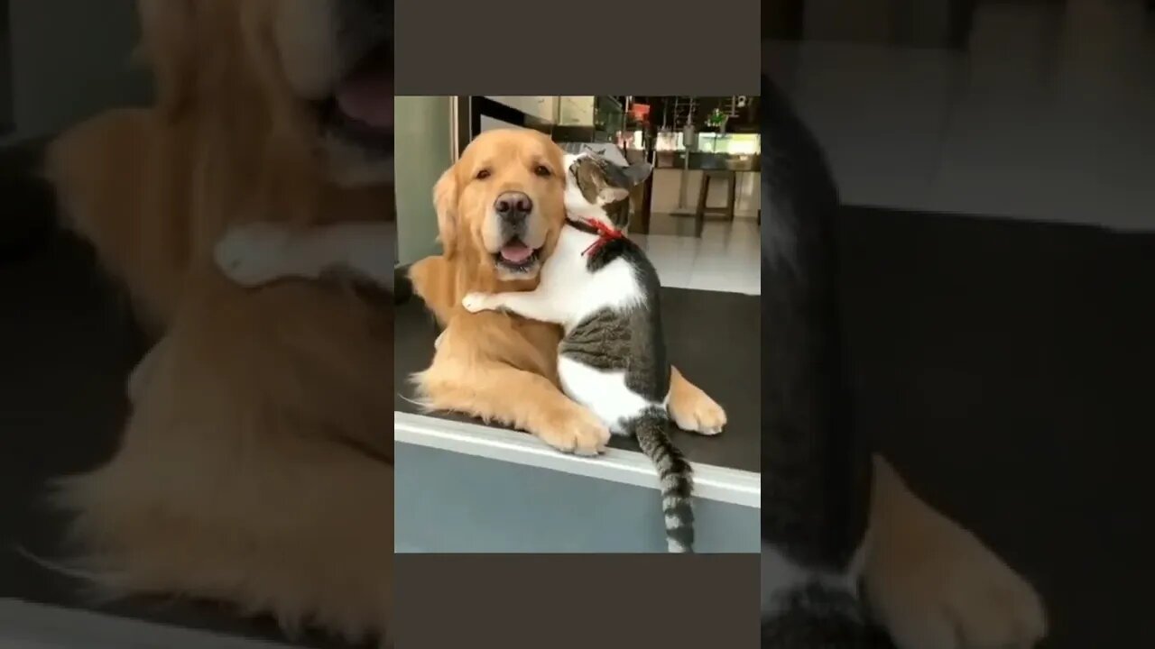 Truly friendship ❣️❣️ https://t.co/G6EUKQeExW
