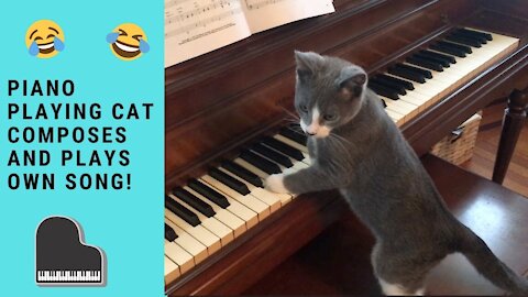 𝗧𝗮𝗹𝗲𝗻𝘁𝗲𝗱 𝗖𝗮𝘁 𝗰𝗼𝗺𝗽𝗼𝘀𝗲𝗱 𝗮𝗻𝗱 𝗽𝗹𝗮𝘆 𝗵𝗶𝘀 𝗢𝗪𝗡 𝗦𝗢𝗡𝗚! 😹😹 (WATCH THIS)