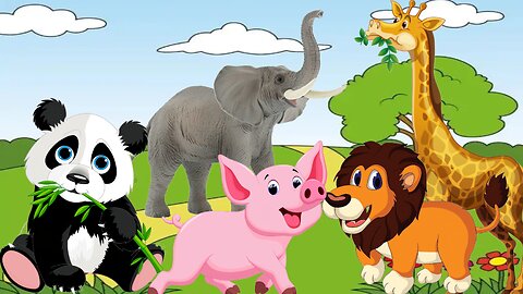 funny animal sound in wildlife, elephant, lion, panda, goat, chicken, horse, duck, Animal moments