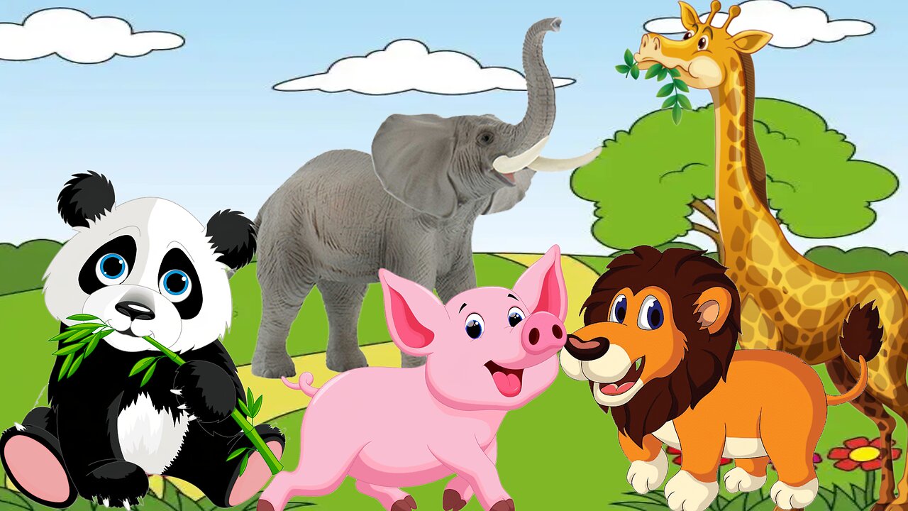 funny animal sound in wildlife, elephant, lion, panda, goat, chicken, horse, duck, Animal moments