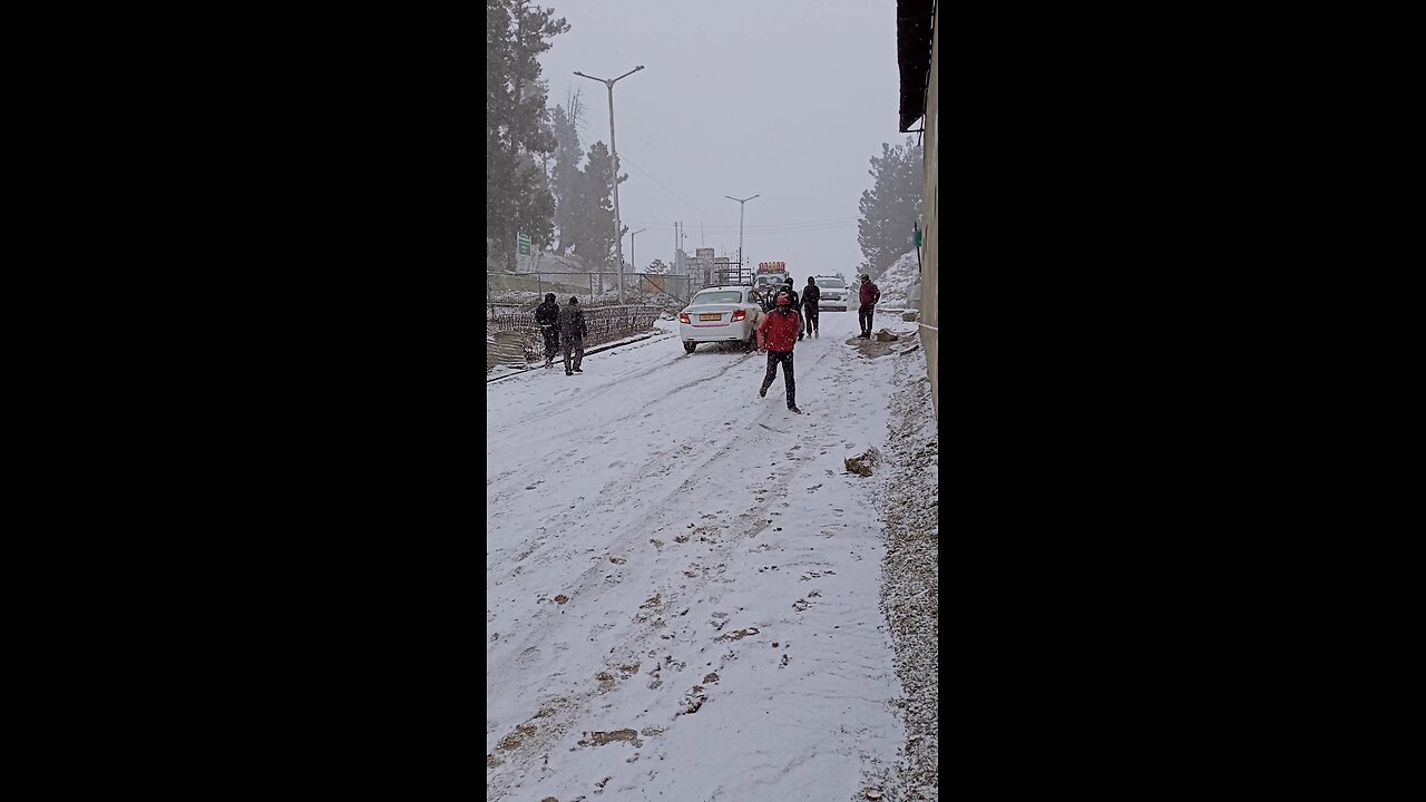 fresh snowfall in Gulmarg