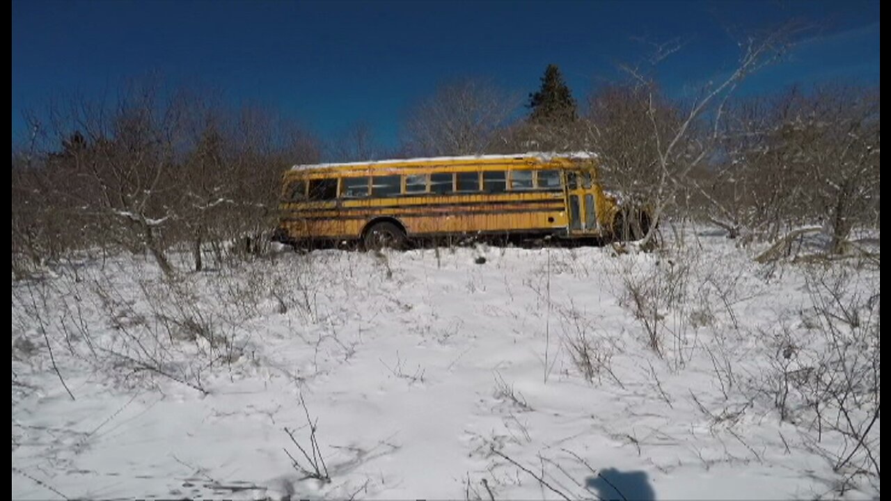 JunkYard In The Woods