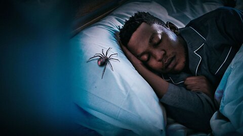 What If a Spider Entered Your Body?
