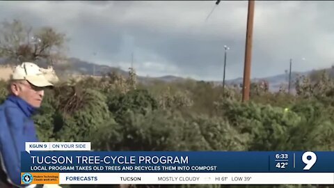 TreeCycle program returns for the 24th year