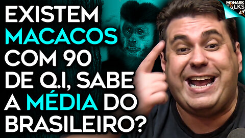 A TRISTE MÉDIA DO Q.I BRASILEIRO