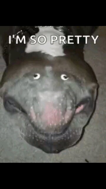 DEEP STATE LICKING THEIR CHOPS