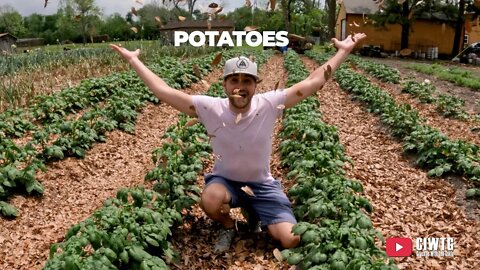 #shorts YOU NAME IT CHALLENGE | I GOT BEANS GREENS TOMATOES POTATOES | IM A POTATO | |PARODY| CIWTG