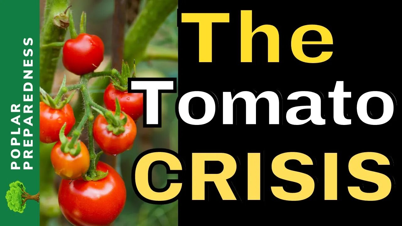 Farmers WARNING | Horrible Tomato Shortage Coming 2022