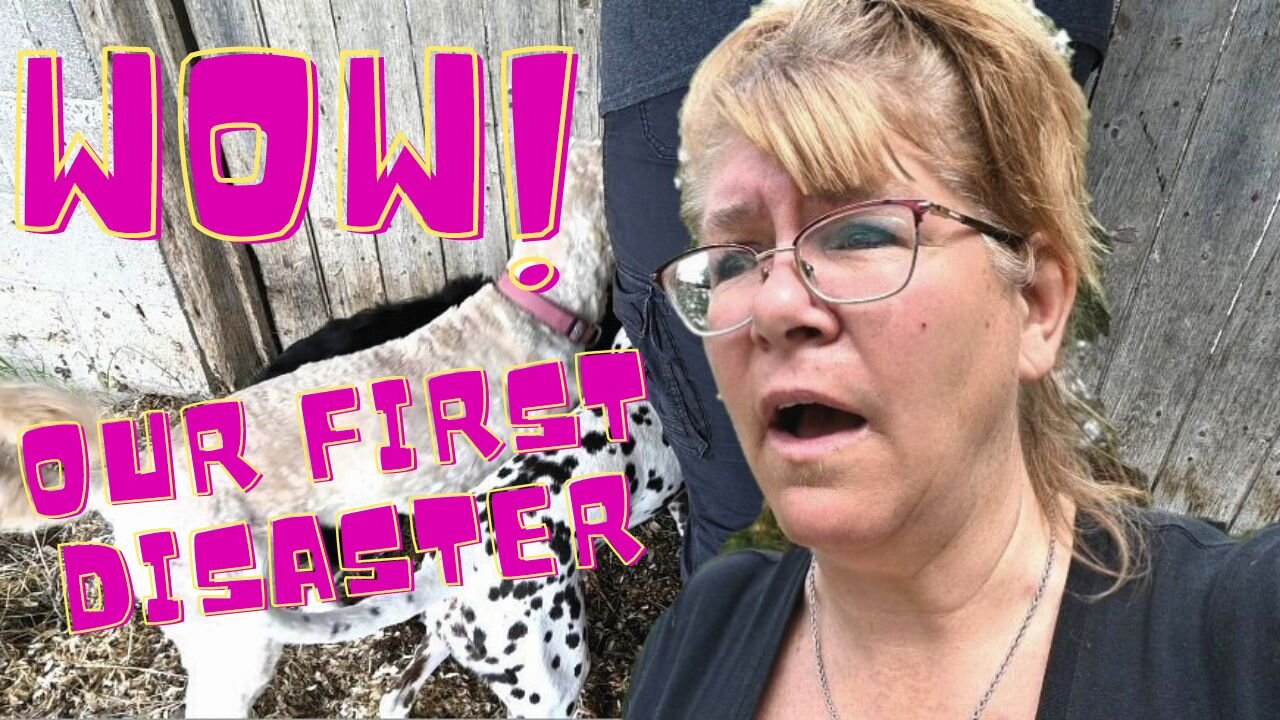 The First Disaster At Our New Farm!
