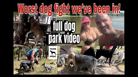 Worst dog fight at dog park!