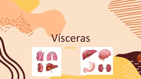 🥩Carnes de órgãos são boas ou ruins para sua saúde?🧠💓