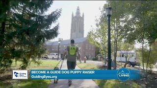 Become A Puppy Raiser // Guiding Eyes