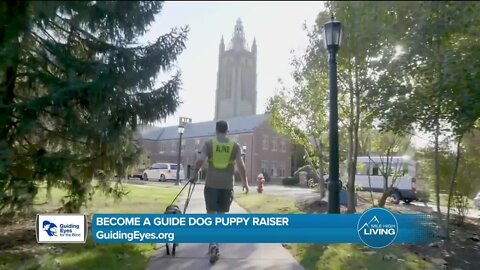 Become A Puppy Raiser // Guiding Eyes