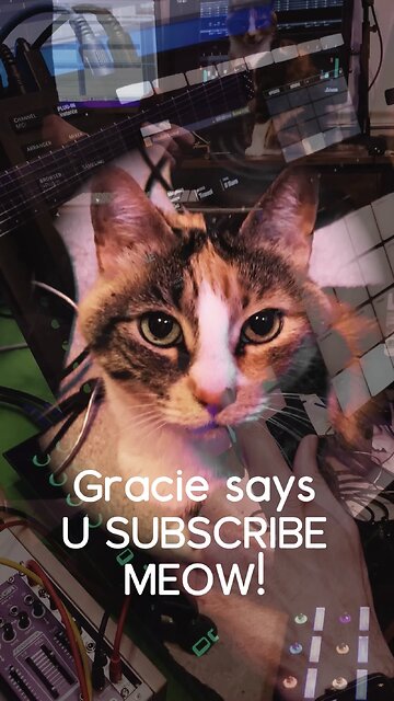 Subscribe right Meow!