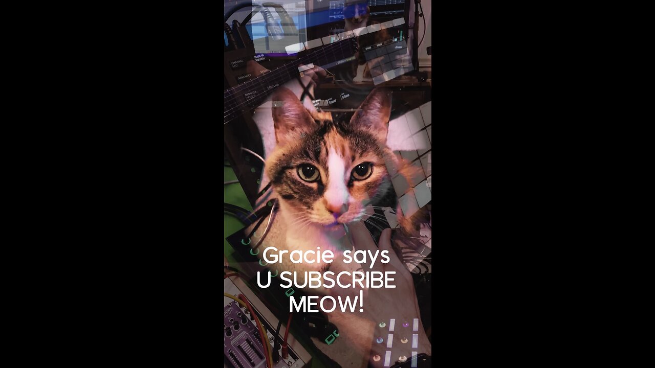 Subscribe right Meow!