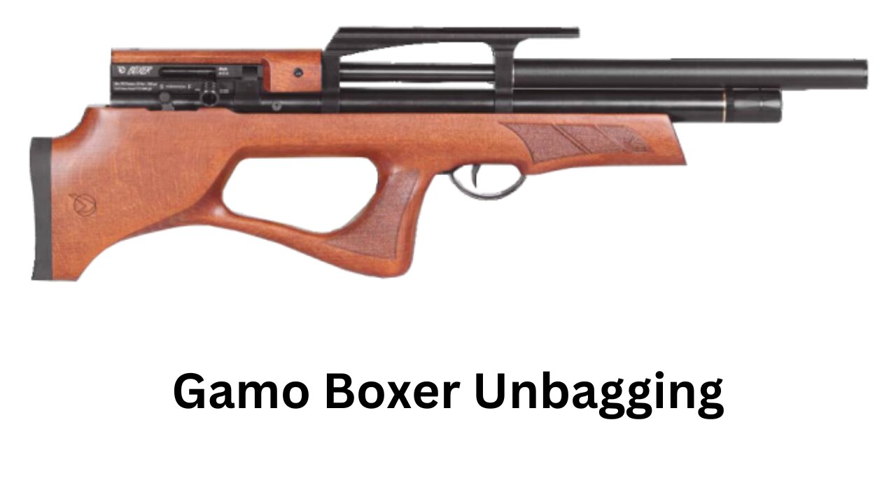 Gamo Boxer Unbagging