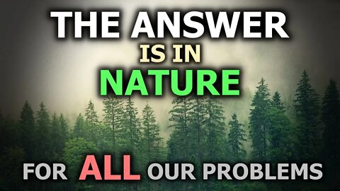 The Answer Is In Nature For ALL Our Problems