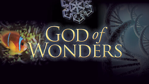 God Of Wonders