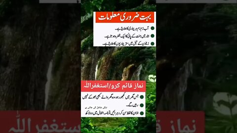 Amazing Facts For Health l World Info Point l #shorts #trending #viral #health #tips #facts #short