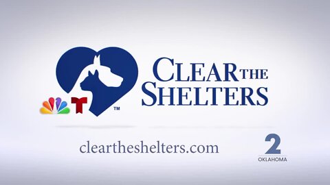 PROMO: Clear The Shelters