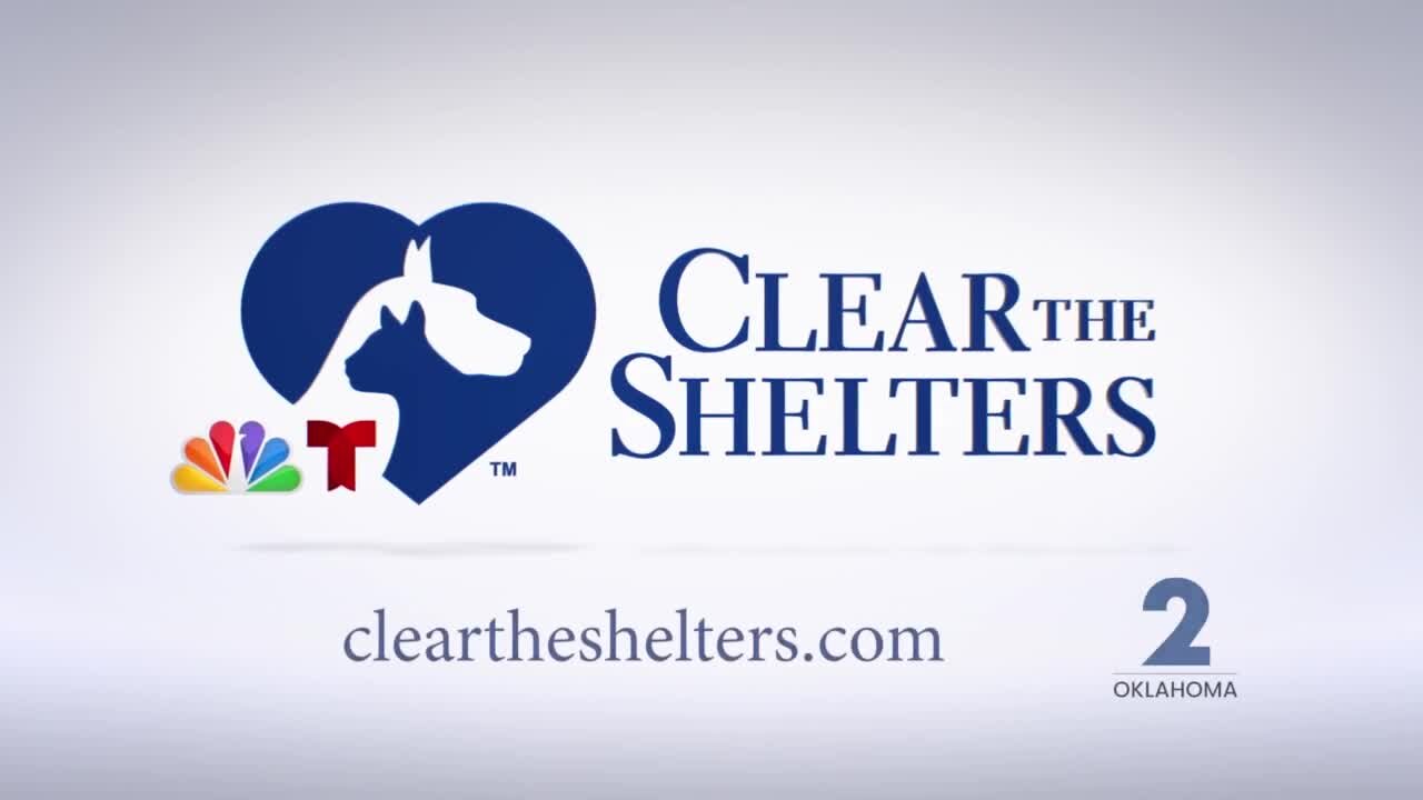 PROMO: Clear The Shelters