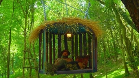 Swing Cabin Making: Living Alone in a Forest Cabin with My Dog