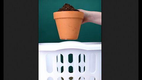 Gardening Hacks Using Common Household Products - HaloRock
