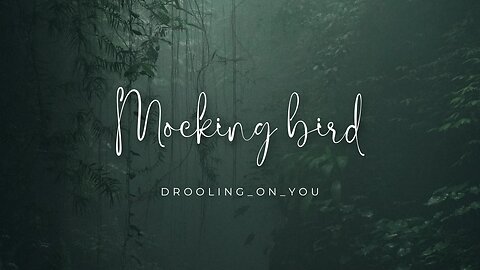 Mocking bird||wirdah||reel