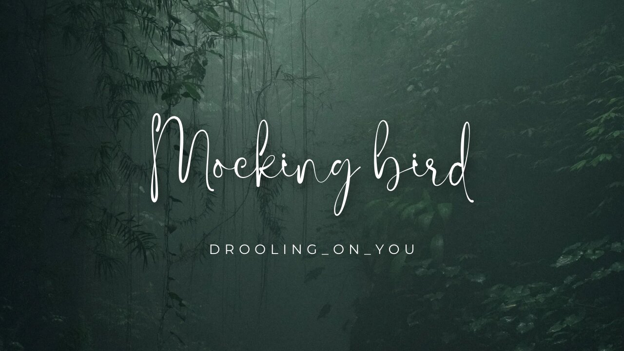 Mocking bird||wirdah||reel