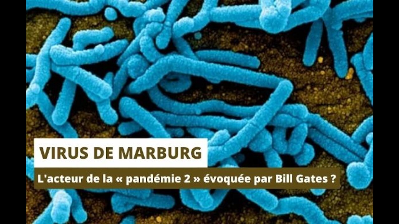 Virus Marburg ? S'agit-il de la « pandémie 2 » évoquée par Bill Gates en avril 2020 ?