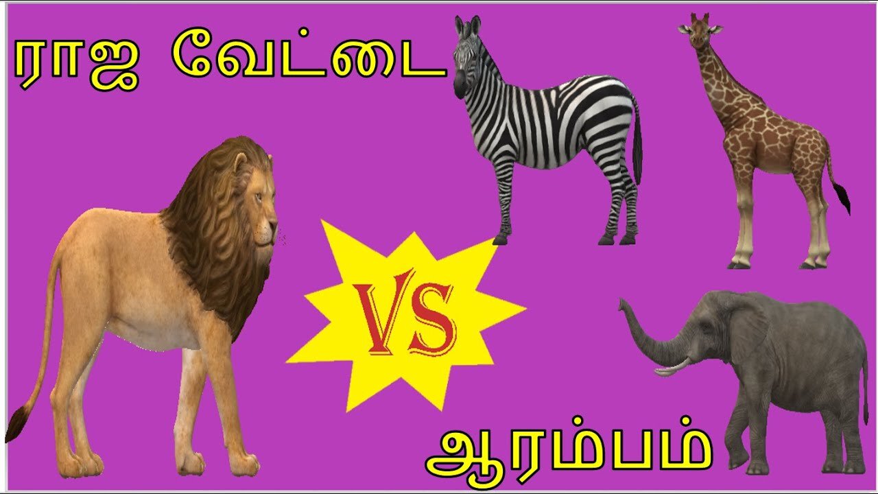 Raja Vedati|LION HUNTING VIDEO|GIRAFFE|ELEPHANT|WILD WATER BUFFALO|ZEBRA|MADHI YUGHAM|