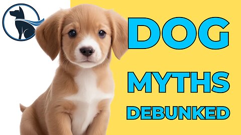 DEBUNKING Dog Myths… 👀 — 026: Dog Talk