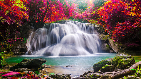 Relaxing Piano Music + "The Water Song" 💦 The Sound of Wind 피아노,마음이 편안해지는 음악,힐링
