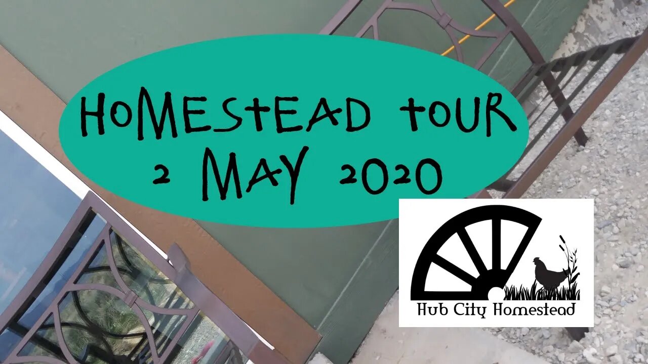 Homestead Tour Ep. 1 5 May 2020