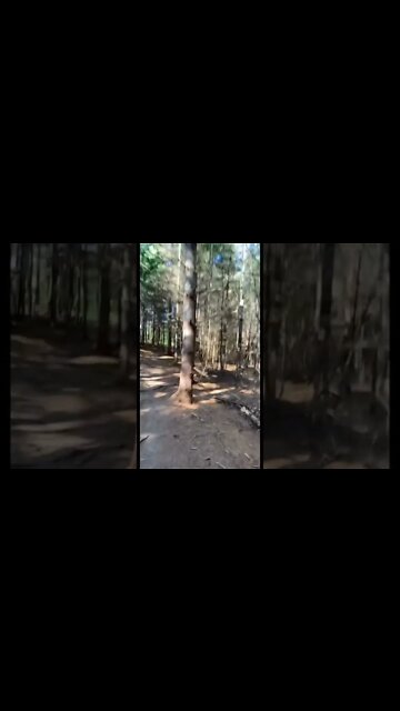 Going for a hike at Bonshaw