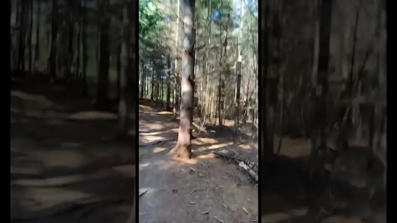 Going for a hike at Bonshaw