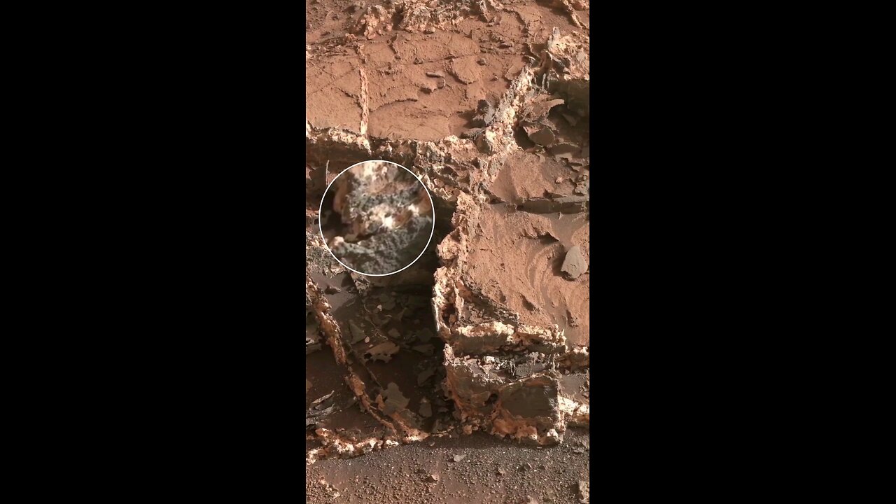 Journey of mars 🎊💯 #Nasa #Mars #Curious #Youtubeshorts #Followforfollowback (θ‿θ) Creadit-Nasa