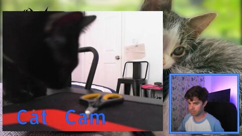 Trimming my Cats nails on stream