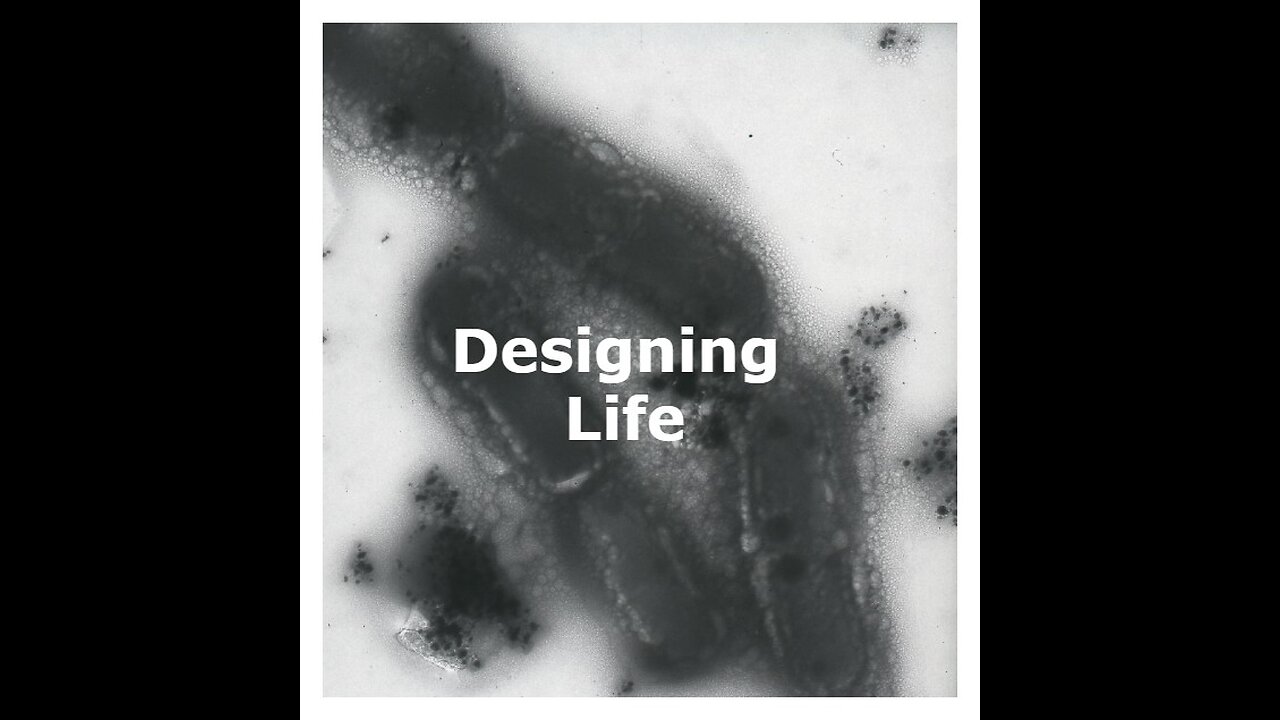 DESIGNING LIFE