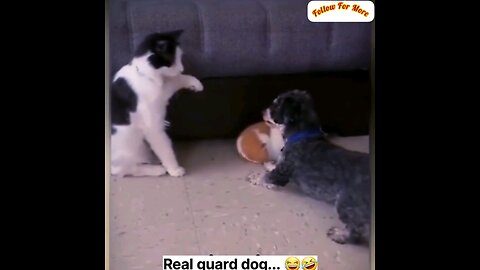 You can't beat it when I'm around😂intresting video