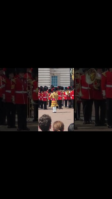 changing of the guards 20/07/22 #horseguardsparade