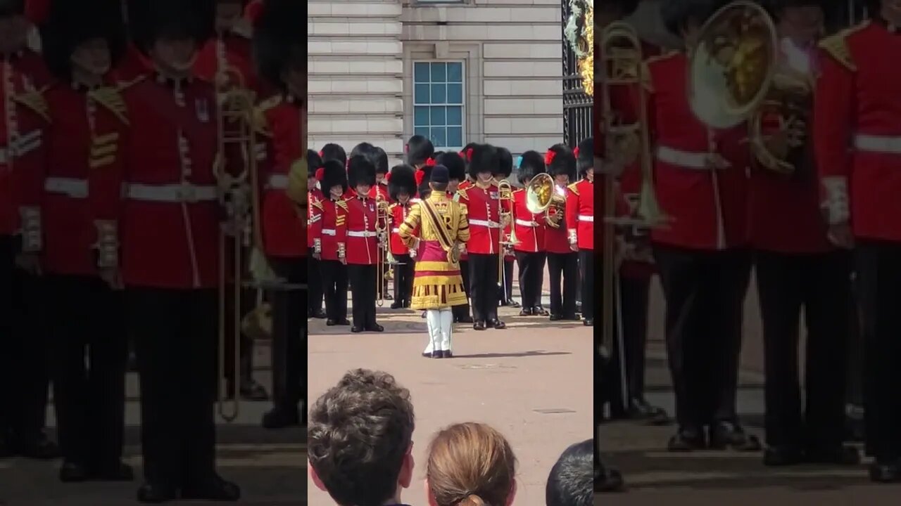 changing of the guards 20/07/22 #horseguardsparade