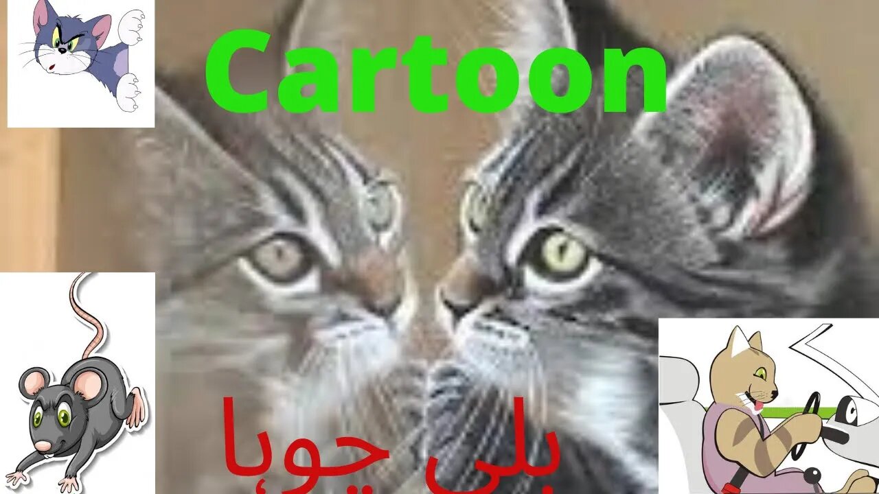 بلی چوہا#tom and jerry#cartoon