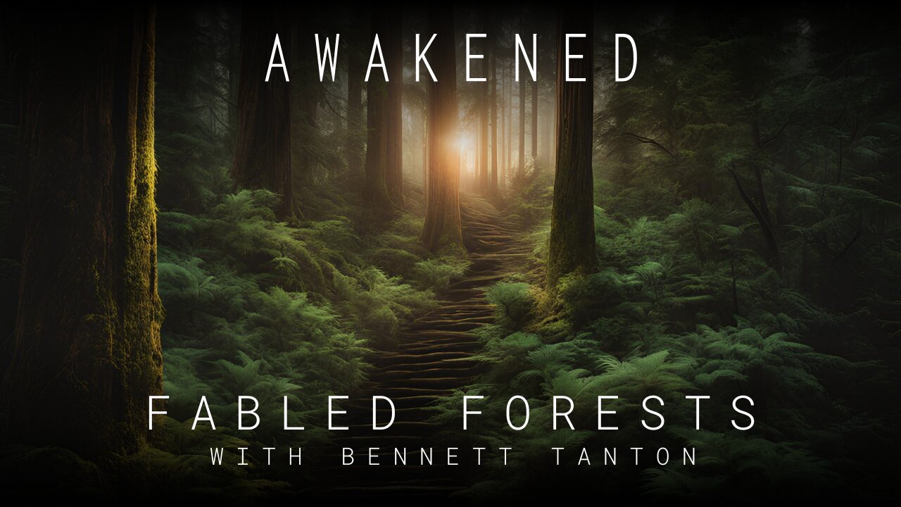 Fabled Forests: National Parks, Energy Vortexes, Mysterious Staircases, & Bigfoot w/ Bennett Tanton